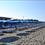 Bar Bagni La Pineta Marina di Bibbona