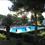 Agenzia Immobiliare Acqua Marina Marina di Bibbona